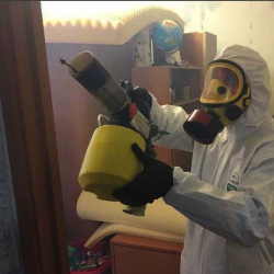 Уничтожение клопов в квартире. Касли